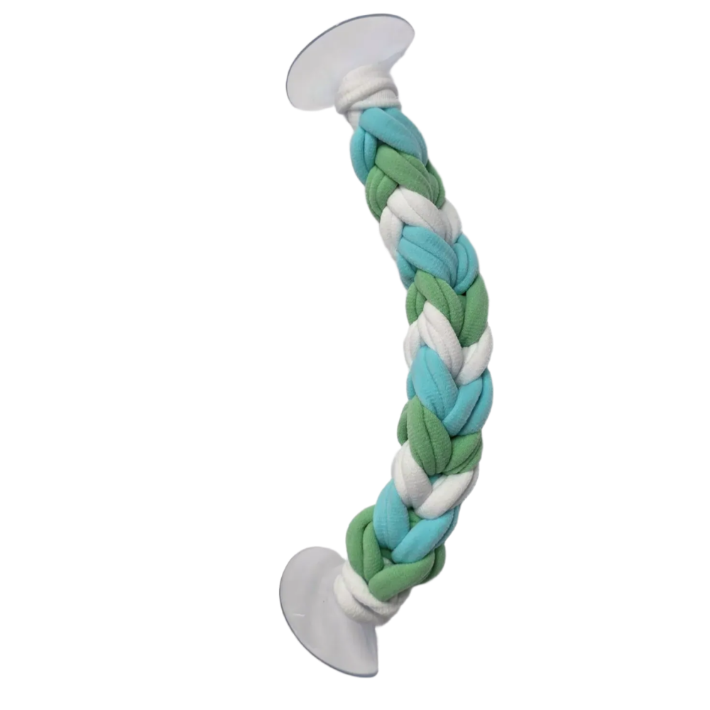 도마뱀 크레스티드게코 양말목 백업, 민트, 1개 8,900원