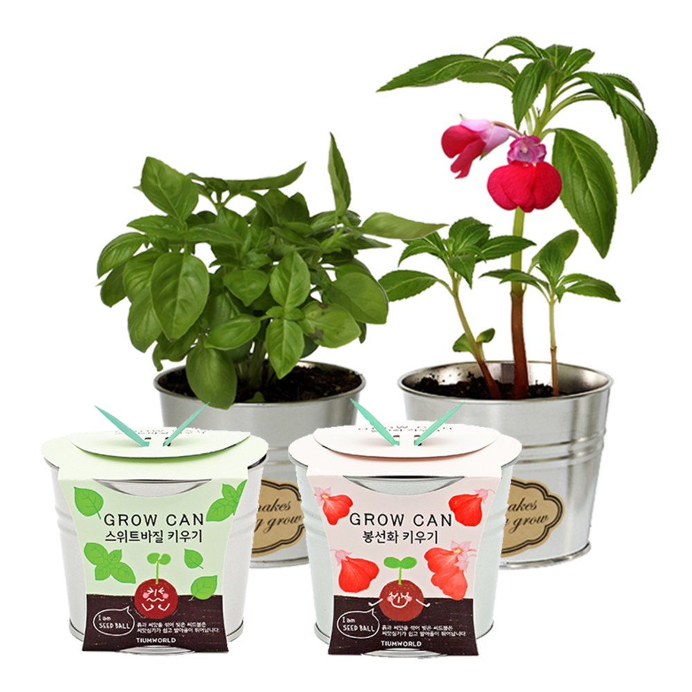 틔움세상 new 꽃 그로우캔 키우기 세트 20,750원