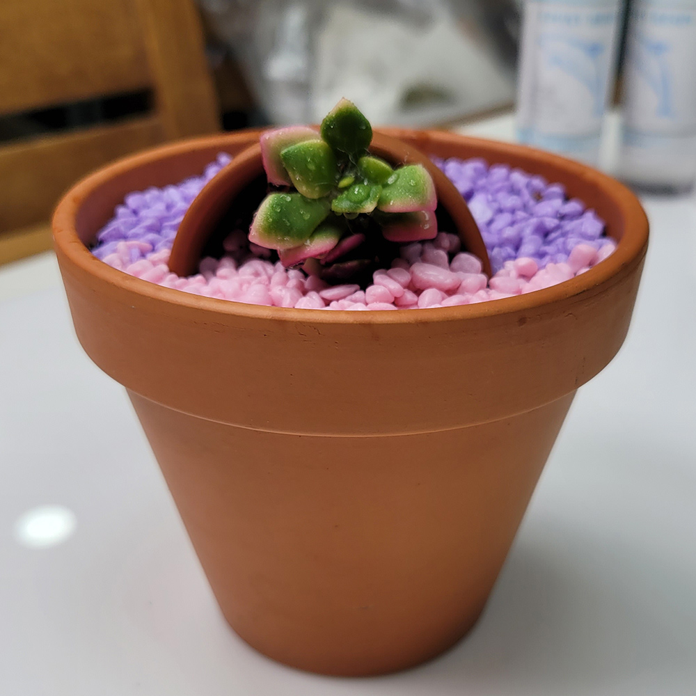 PA27 다육이정원 황토화분 만들기 5인용 19,900원