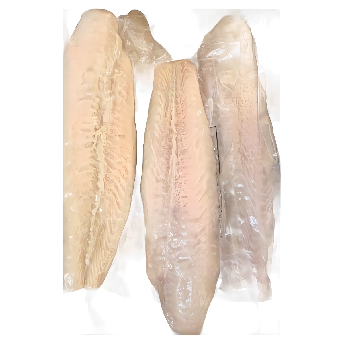 [대영] 냉동 팡가시우스 메기 횟감 (사이즈 한팩 당 280g) 총 5팩 19,000원