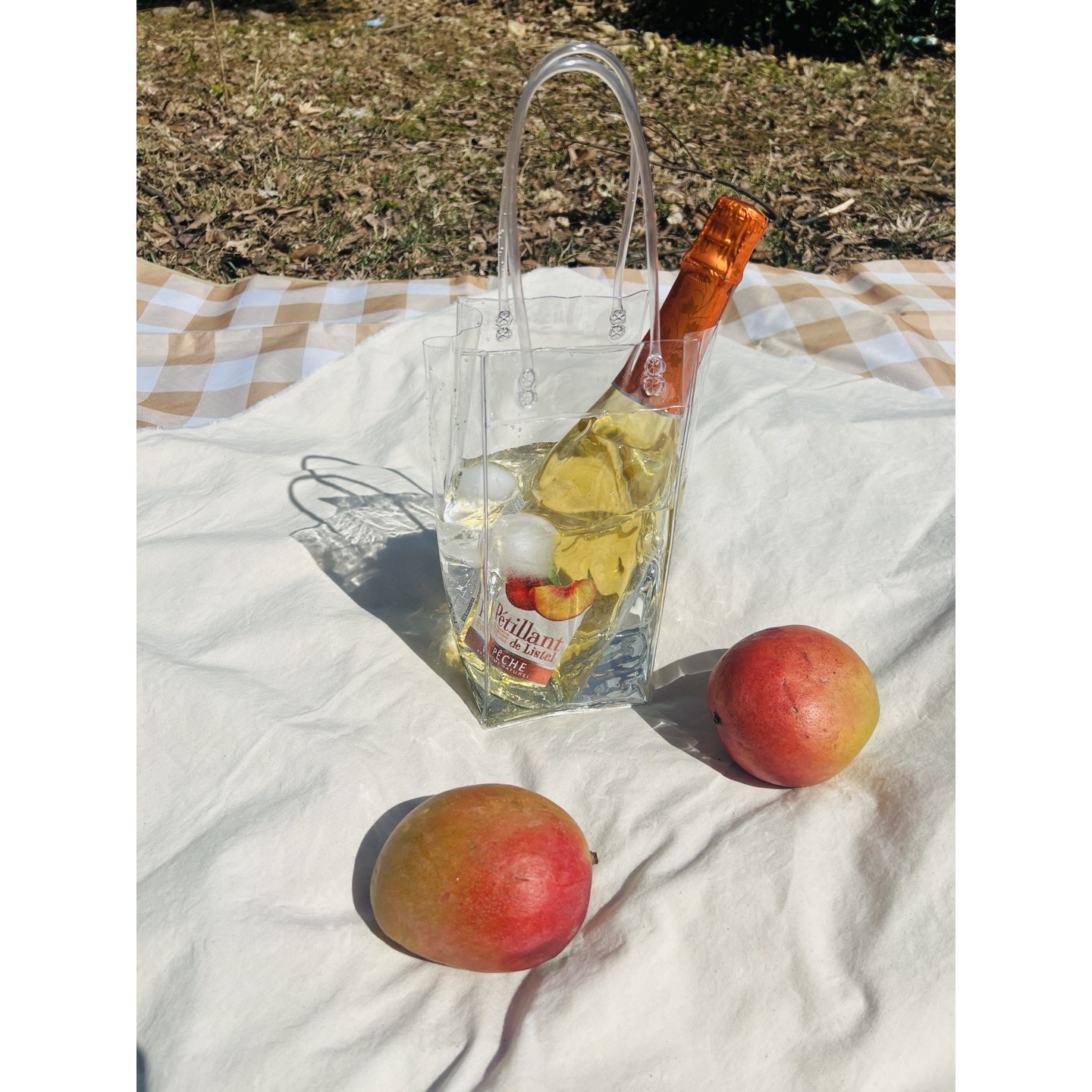 더마켓 봄나들이 PVC 와인칠링백 피크닉 와인칠러 야구장 브라이덜샤워 캠핑 샴페인 와인가방 5,200원