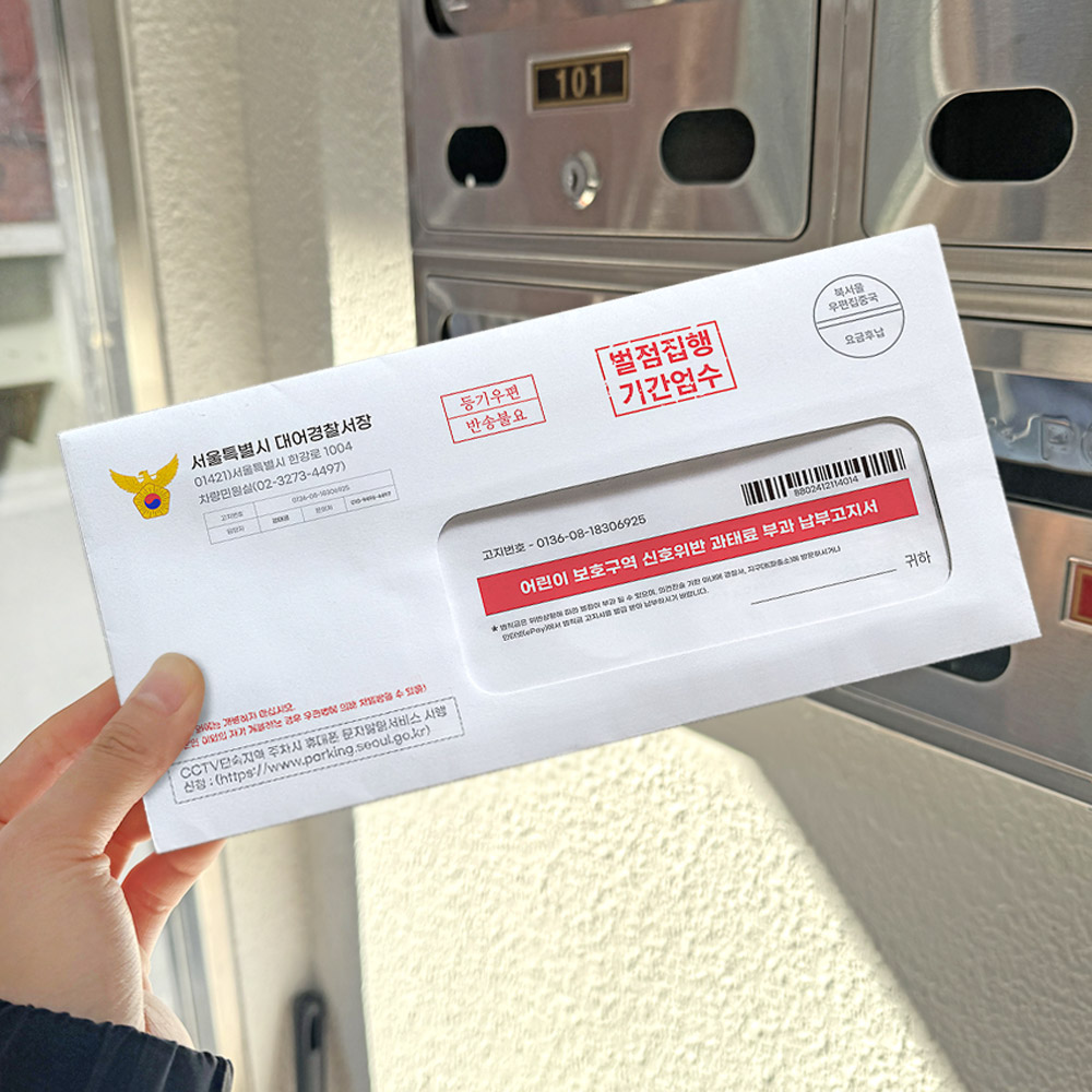 리드홈 신호위반 과태료 반전 용돈봉투, 혼합색상, 1세트 5,900원