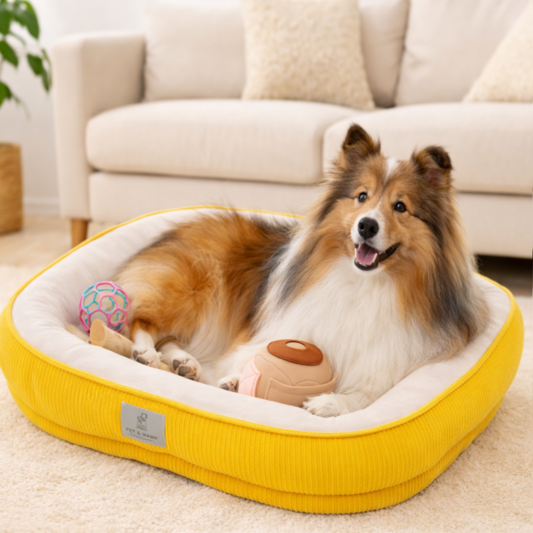 강아지 방석 침대 대형 중형 노령견 슬개골 보호 쿠션 고양이 겸용 애견 푹신한 반려동물 집 방석, 딥 옐로우, 1개 23,900원