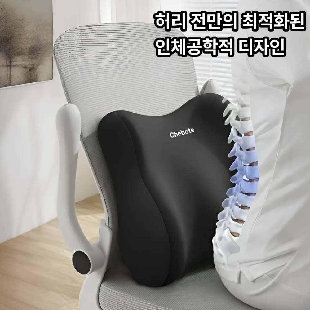 슈레보 사무실 허리전만 지지 등받이 허리 쿠션 14,600원