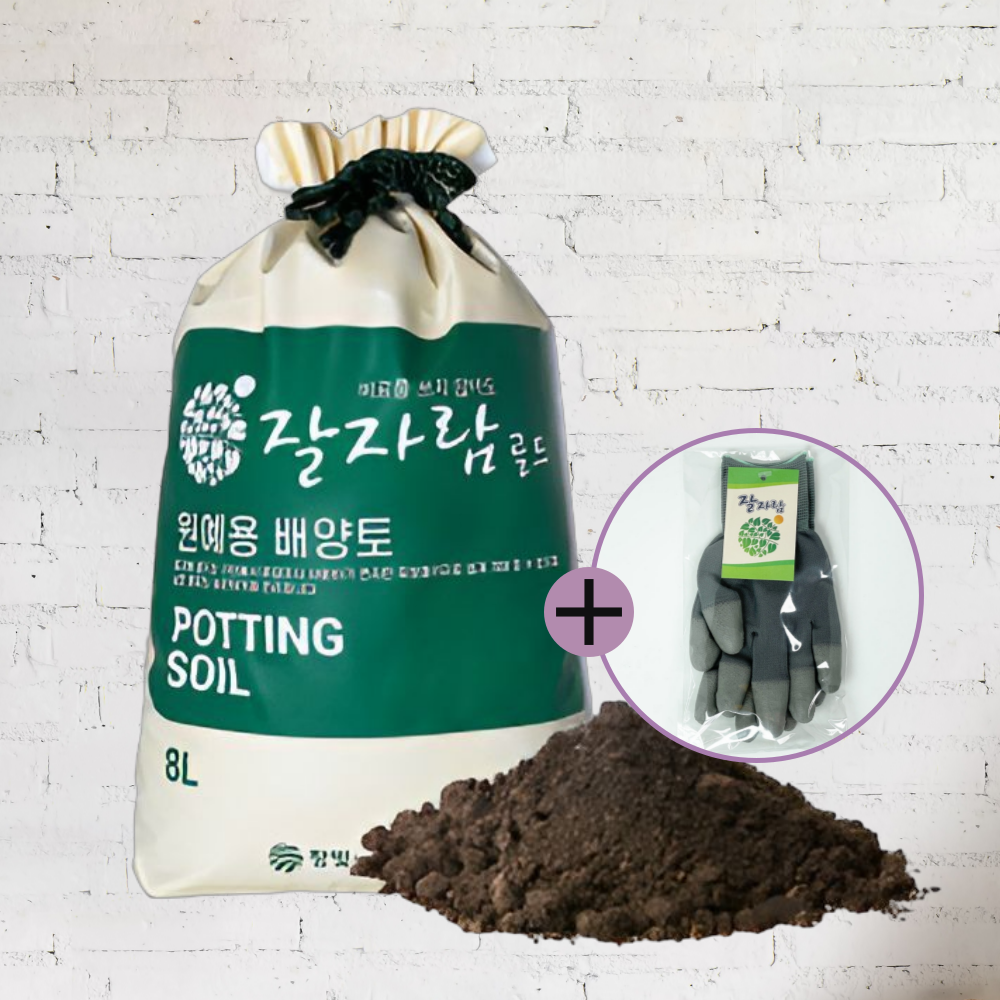분갈이 흙 배양토 화분흙 잘자람골드 흙 8L +원예용고급장갑 상토 창빛농원, 3개, 8L 34,000원