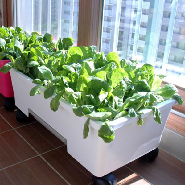플라팜 베란다텃밭 오가닉화분 이동식 아파트 베란다, 화이트, 1개 13,500원