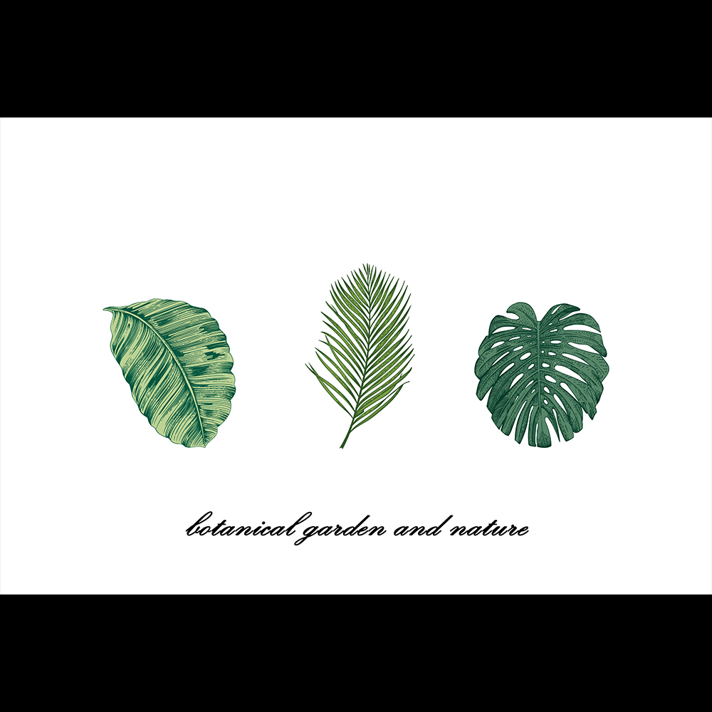 코나 주방아트보드 가스렌지 인덕션 가드 가림막 기름튐방지 보타니컬-화이트 79,800원