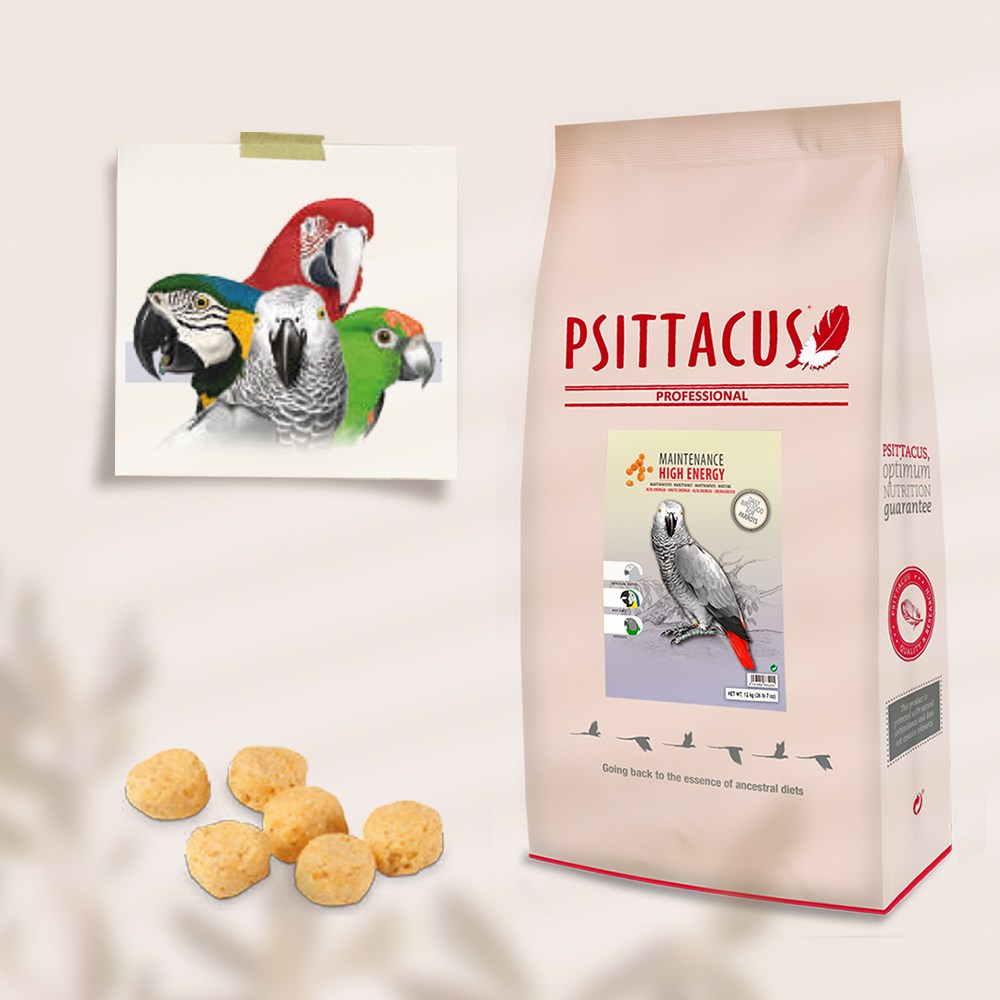 프시타쿠스 하이에너지 12kg 피타쿠스 앵무새 사료 펠렛 조류 먹이 PSITTACUS, 12kg, 1개 240,000원