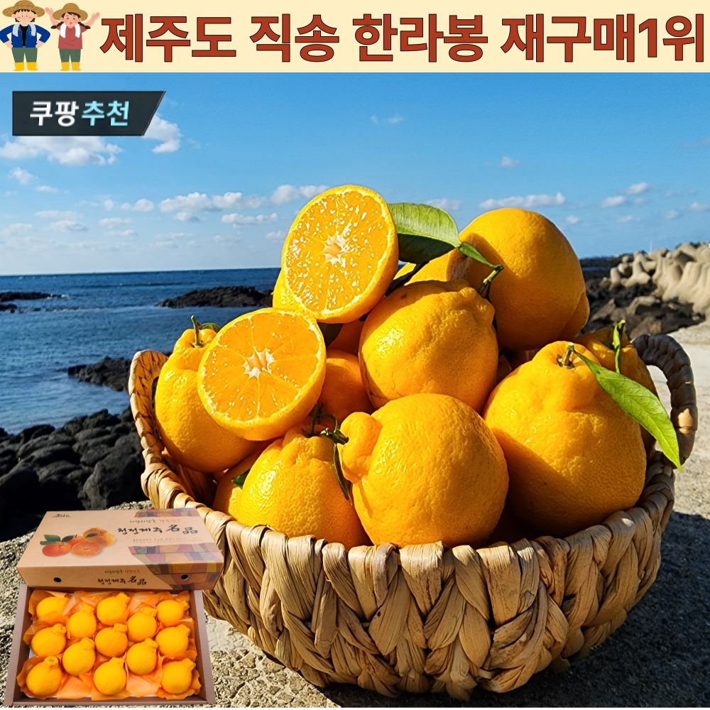 [ 제주도 한라봉 ] 제주농장 직송 한라봉 재구매1위, 1세트, 한라봉 10kg 가정용 76,110원