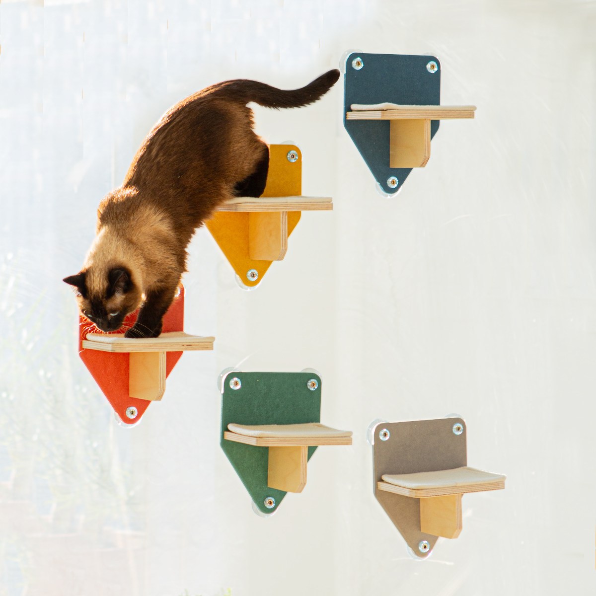 (2+1) 무지개냥 미니 캣워크 고양이 스텝 선반 계단 캣워커 96,000원