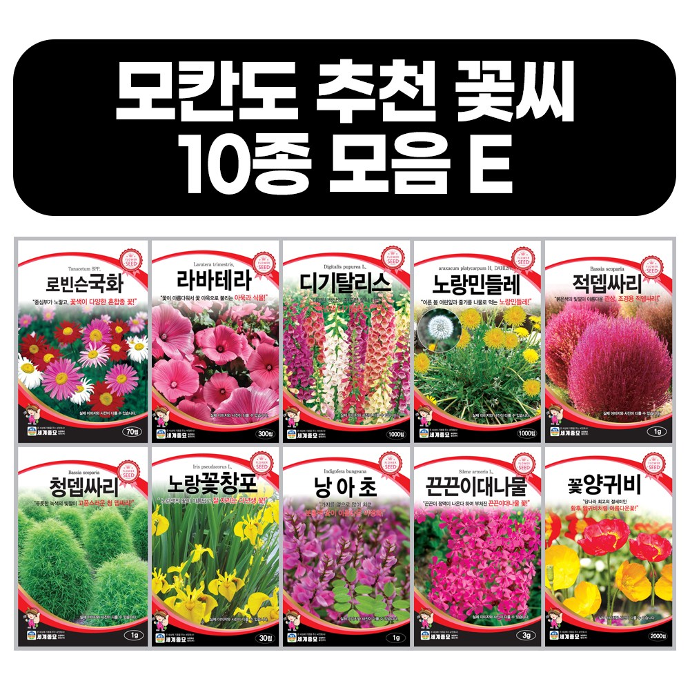 모듬 꽃씨앗 10종 E세트 봄 가을 사계절 파종 꽃양귀비,끈끈이대나물,낭아초,노랑꽃창포,청뎁싸리,적뎁싸리,민들레,디기탈리스,라바테라,로빈슨국화 꽃씨 모음 20,000원