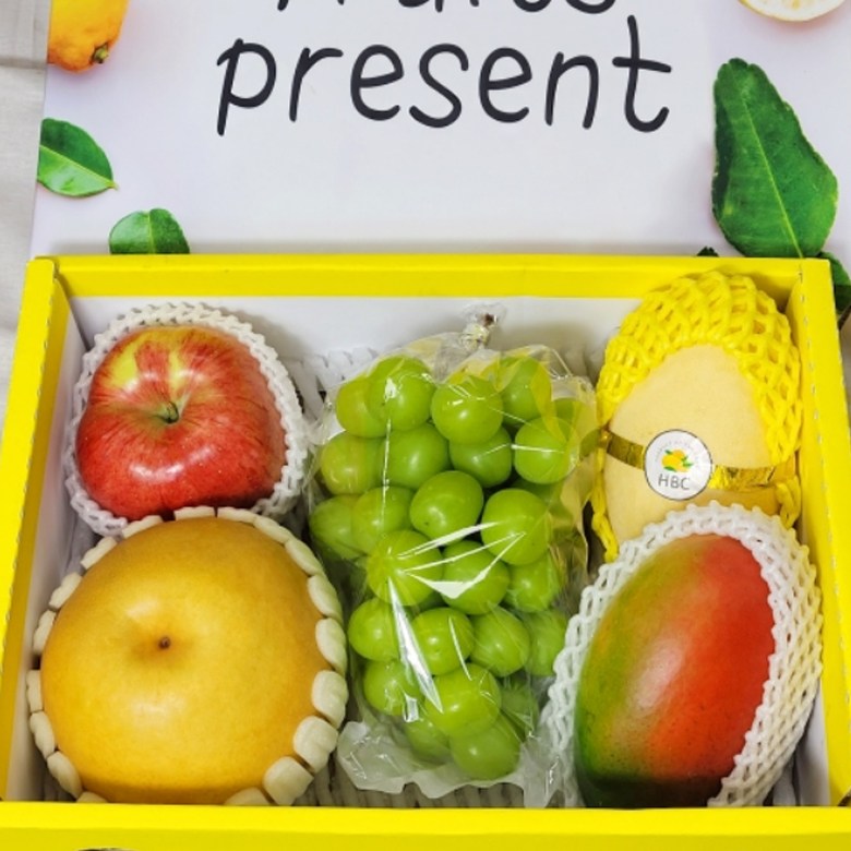 항공직송 프리미엄 망고 선물세트 골드망고 애플망고 열대 혼합 과일 선물용 대과 특과 특대과 2kg 2.5kg 49,500원