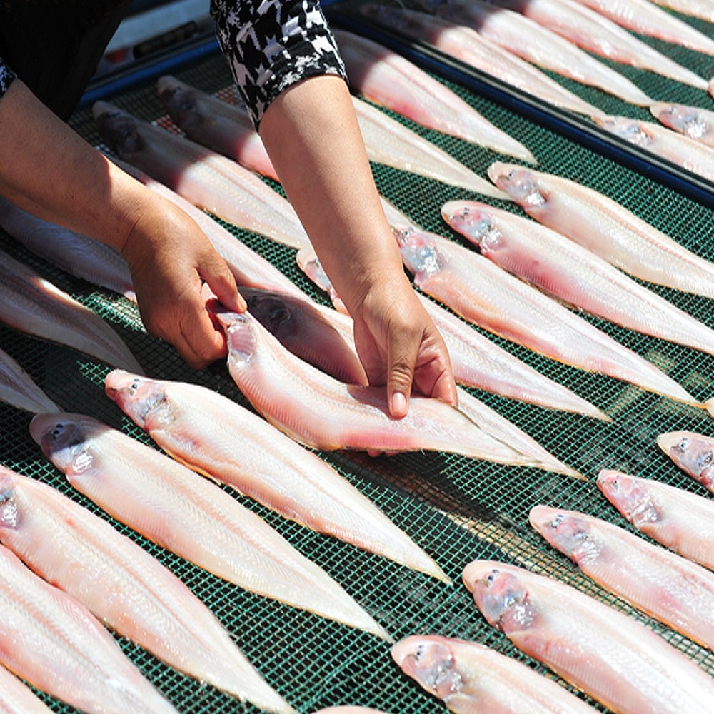 수산대장 군산 반건조박대 특대 왕박대 흰살생선 구이 반찬 서대, 2개, 26~29cm(200g내외) 대 13,900원
