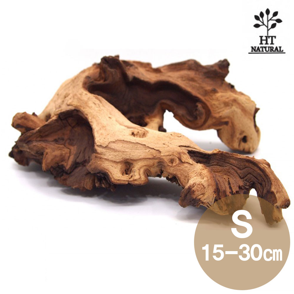 세틀 프리미엄 모파니 투톤 유목 S 15~30cm 최고급 자연우드 모스 나나 부세 활착 우드 8,030원