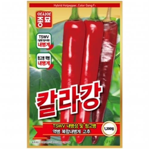 아시아종묘 씨앗 고추 칼라강 1200립 120,000원