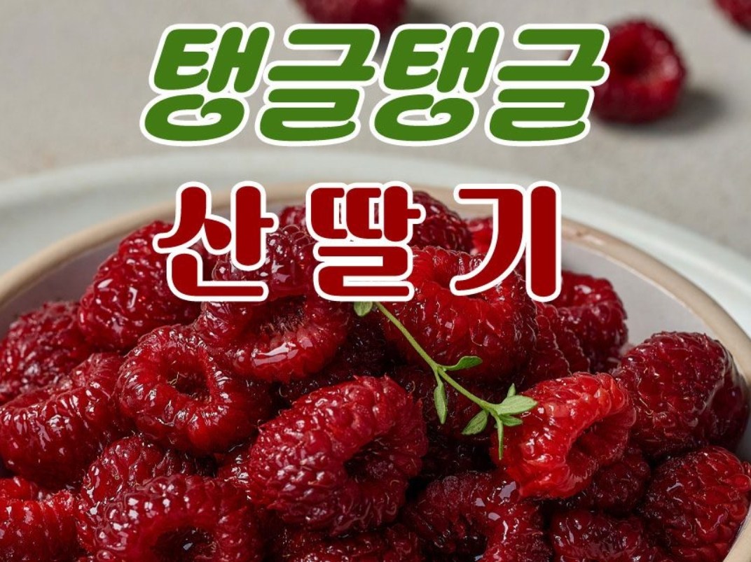 1+1 국내산 급냉 산딸기 500g │ 냉동 베리 과일 (새콤달콤) 29,000원