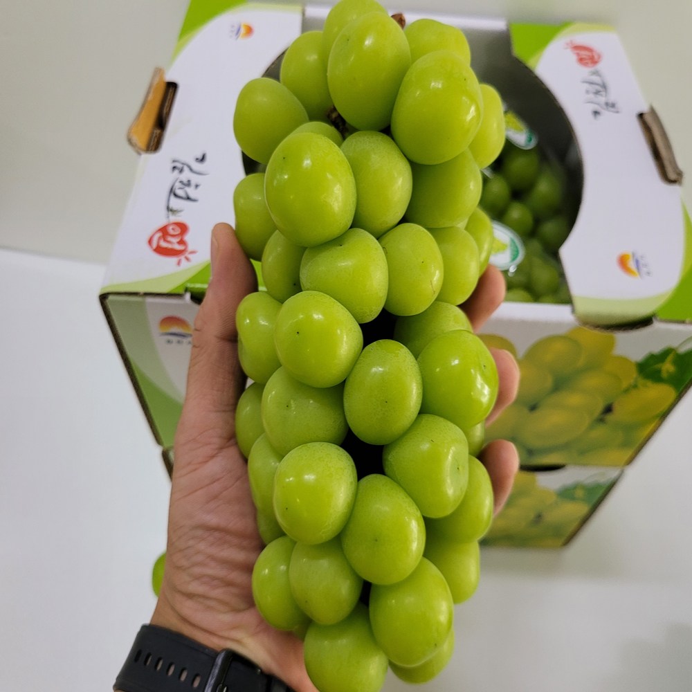일등농수산 특등급 17브릭스 샤인머스켓 청포도, 1개, 3수 3.0KG 30,100원