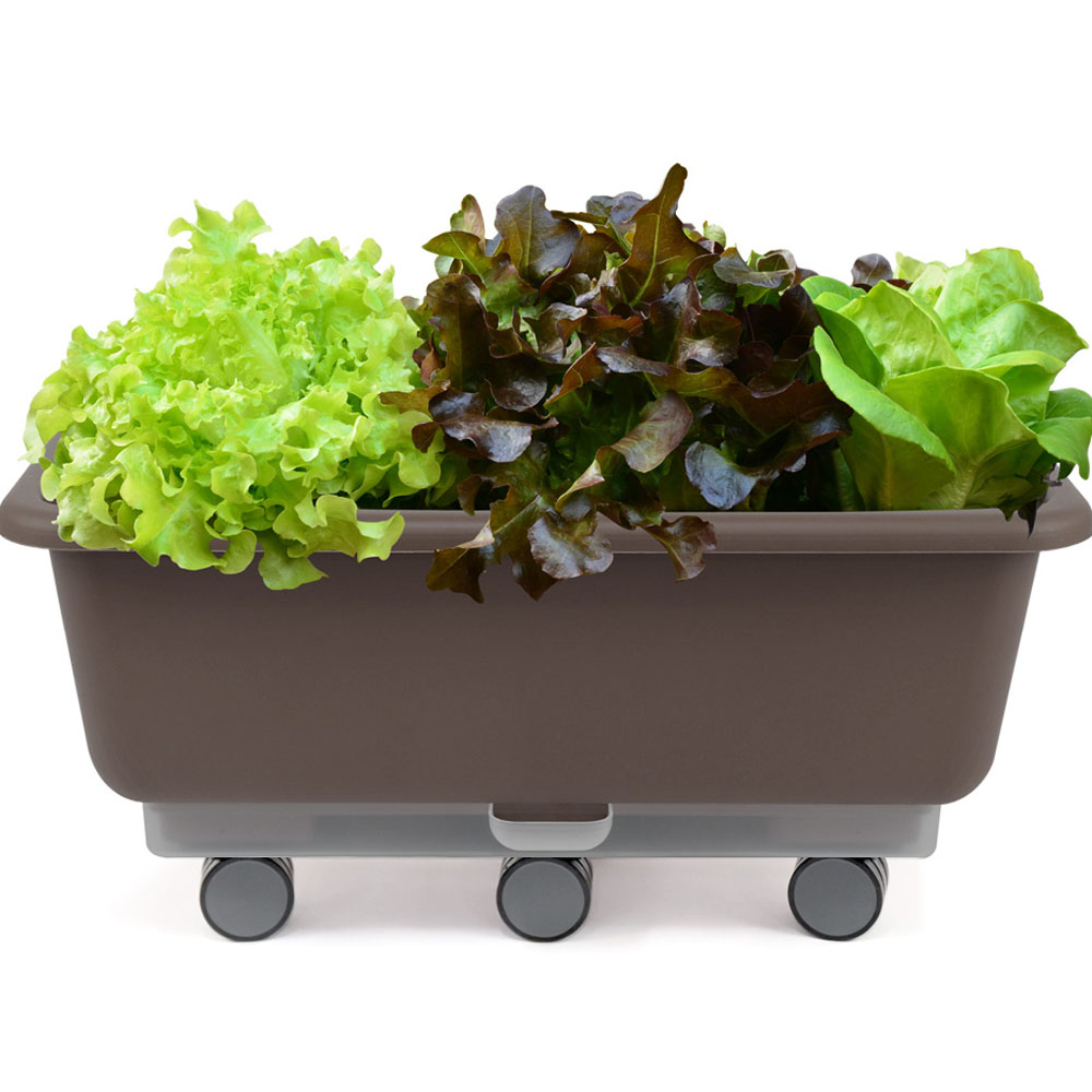 화분월드 베이직 대형 이동식 자동급수 텃밭화분 + 바퀴 6p 세트 37,490원