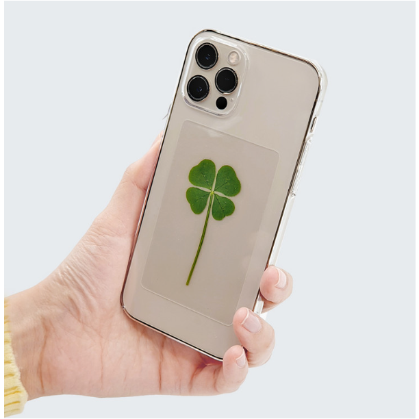 푸드클로버 네잎클로버 코팅 카드 투명 20개 23,200원