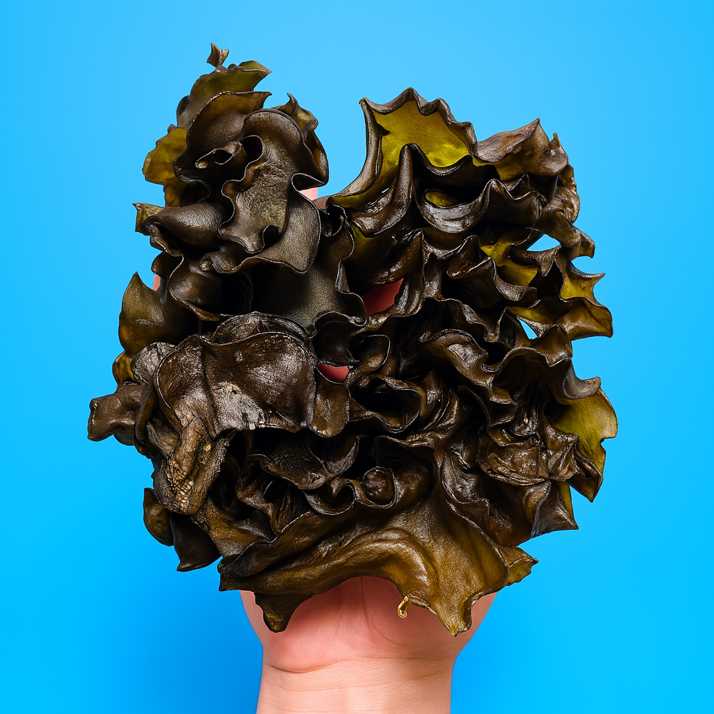 미자네농수산 완도 미역귀 12,670원