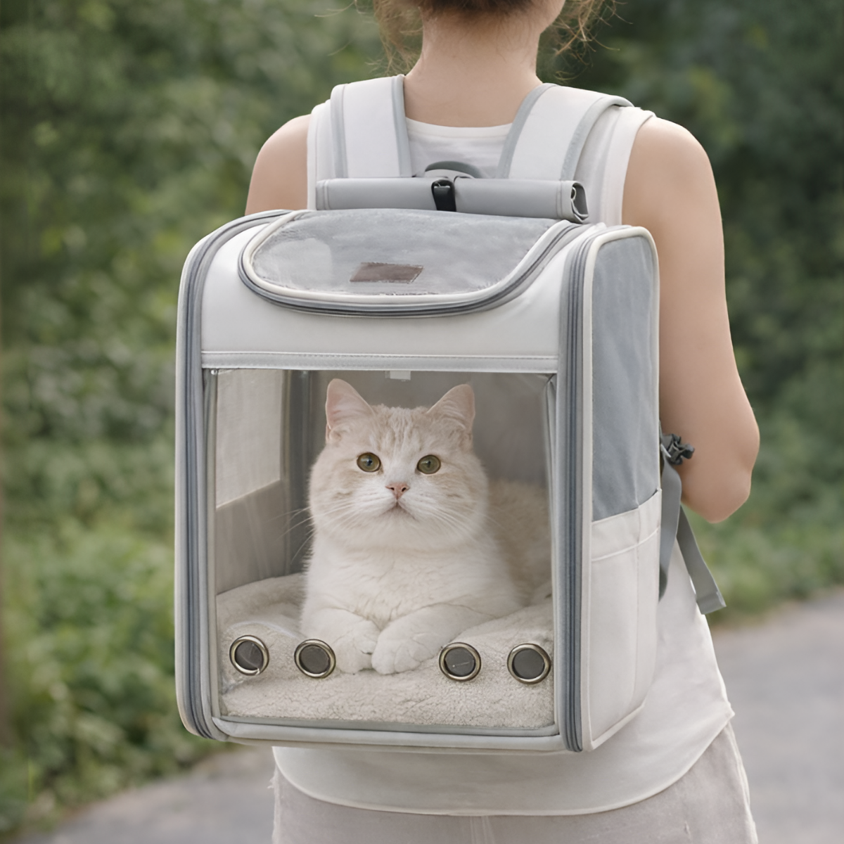 차즈마켓 고양이 이동장 투명 백팩 캐리어 접이식 대형, 1개, 소프트그린 35,000원