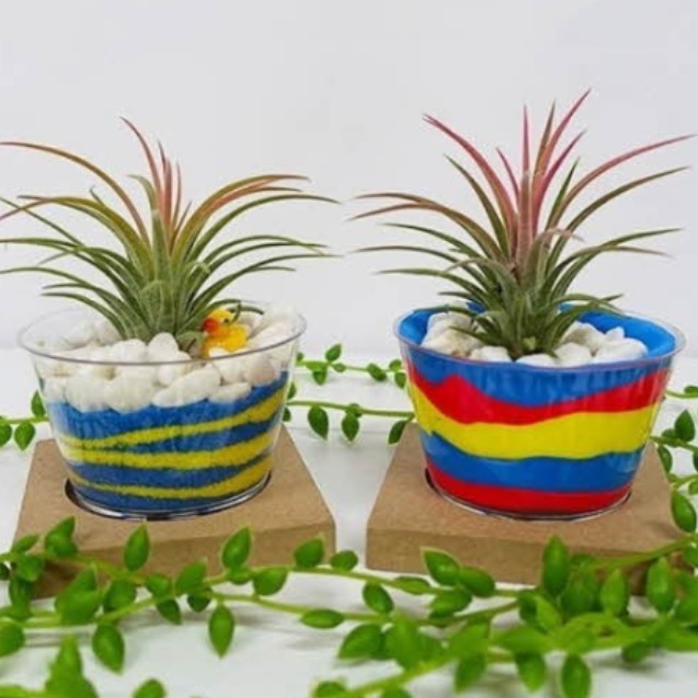 이오난사 화분 diy 만들기 공기정화식물 70,000원