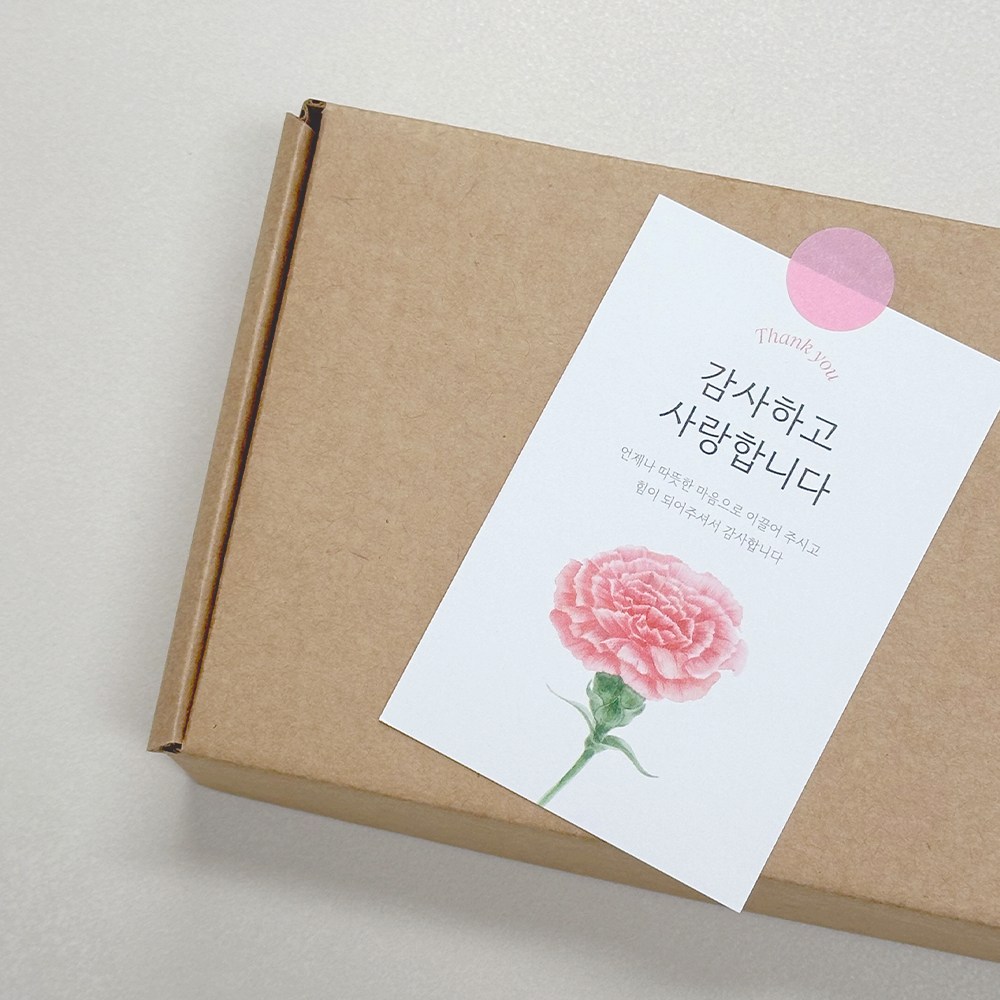 카네이션 가정의달 어버이날 스승의날 선물 포장 카드 20개 로엣[Carnation] 7,500원
