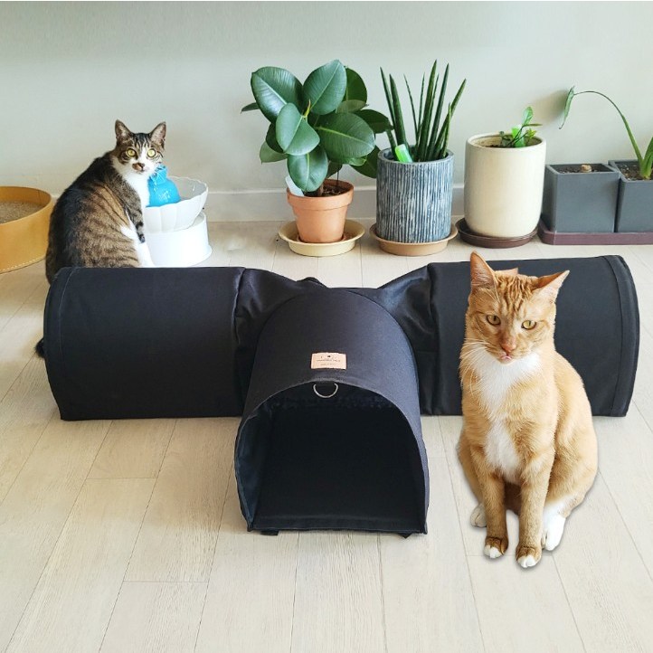 아가프라펫 숨숨 캣터널/무한확장형 튼튼한 국산 고양이 하우스 장난감 집 놀이 흥미유발, 1개 49,000원