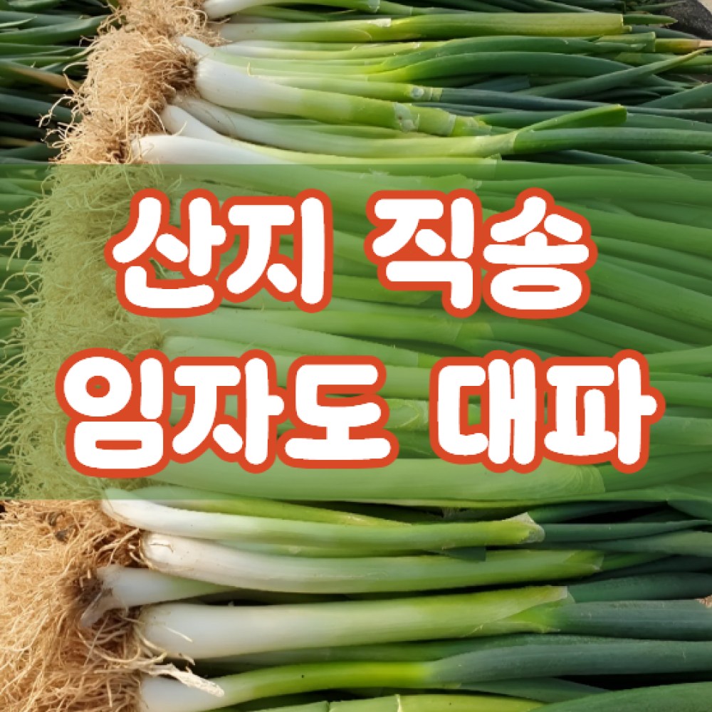 대파산업특구 임자도 제철 대파 산지직송, 10kg, 1개 31,800원