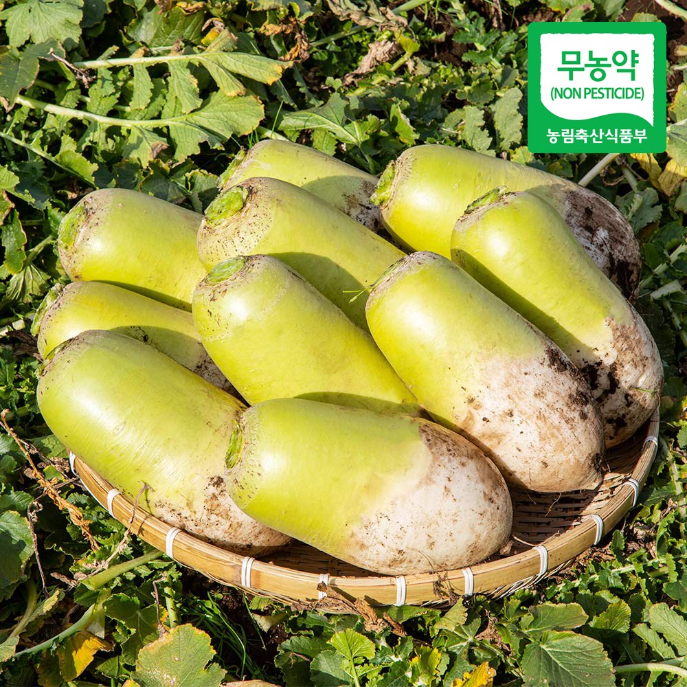친환경 마음밭 국내산 무농약 무, 무 10kg, 1개 32,400원
