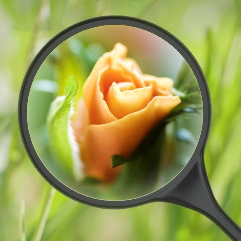 확대경 5 10 20 30배율 선명한 대형 포터블 100mm빅미러 학생 독서 열독 신문보기 확대 거울 노안 노인 시력 돋보기, 1개, 현재가 12,900원