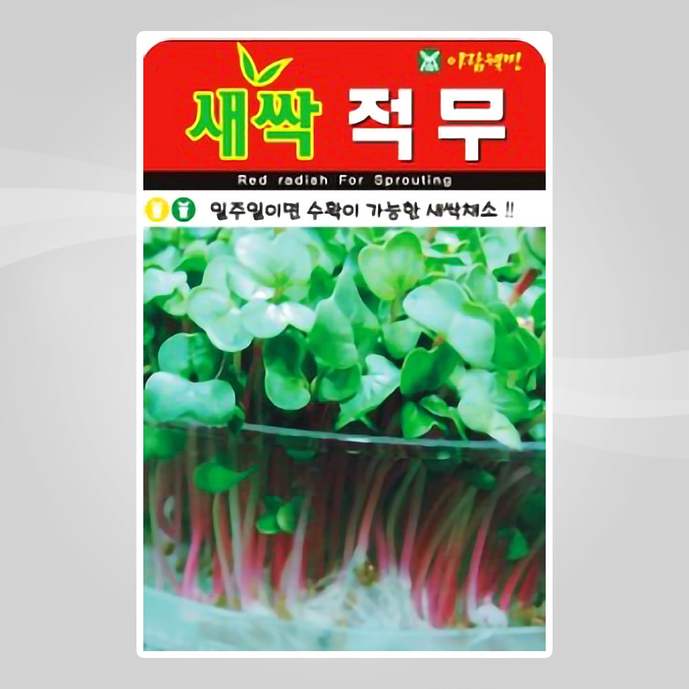 슬로시 새싹 씨앗 보리 다채 귀리 비빔용 청경채 경수채 3,000원