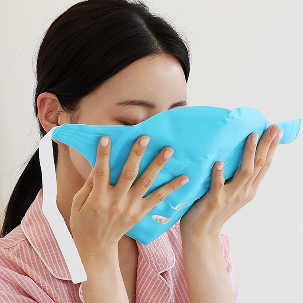 테슬테즐 얼굴 냉 찜질팩 스카이블루, 1개 10,900원