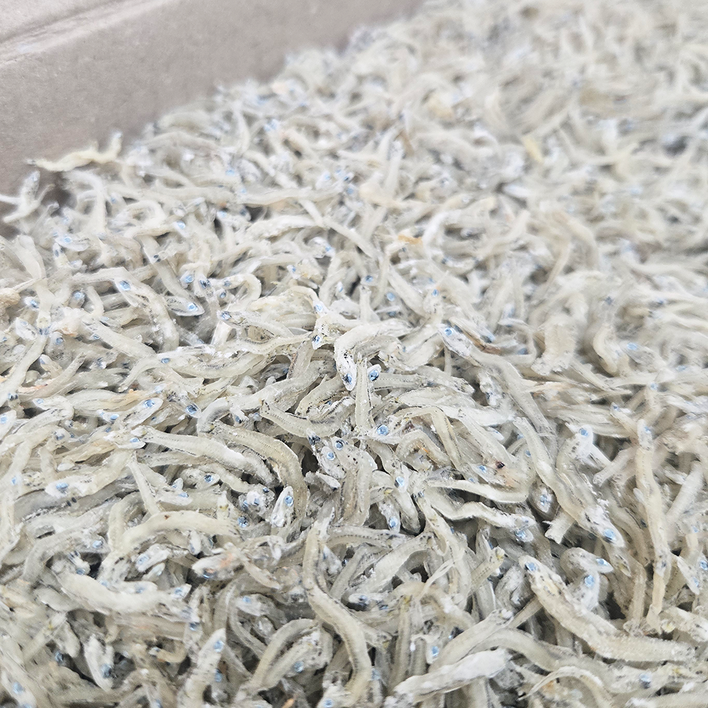 국내산100% 품질좋은 국산 햇 지리멸치 잔멸치 조림용멸치 (특품), 1박스, 1.5kg 23,000원