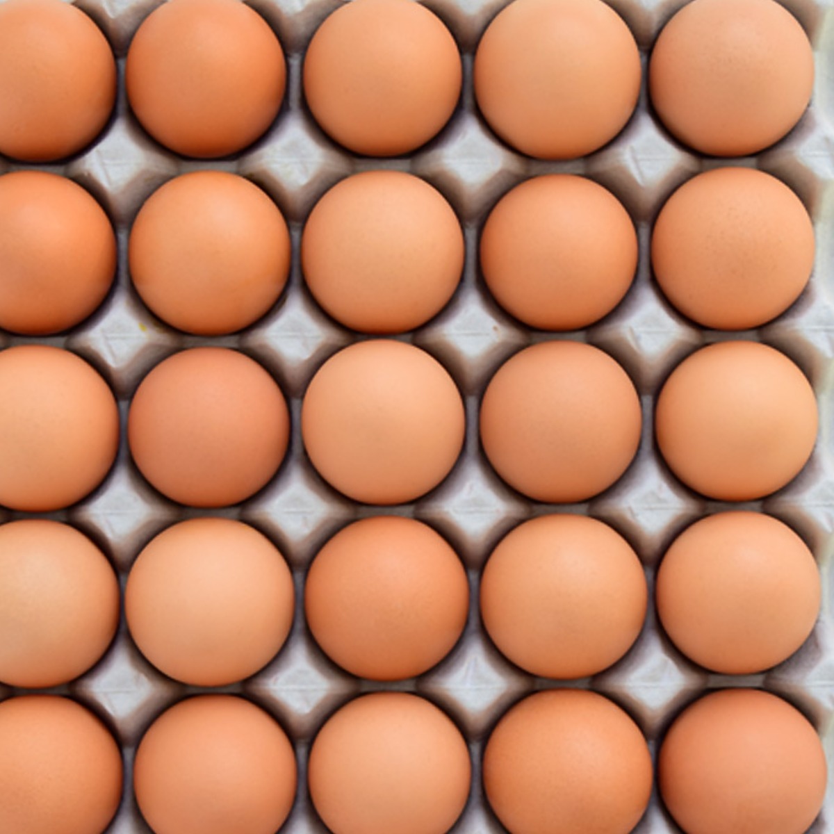 청년농부 무항생제 계란 특란 생계란, 1개, 60구 23,900원