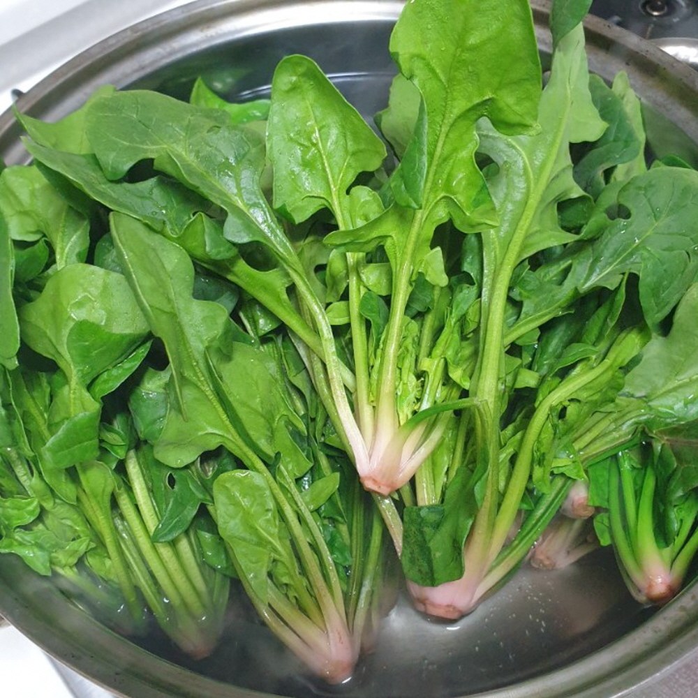 해풍맞은 남해 노지 시금치 섬초 9,400원