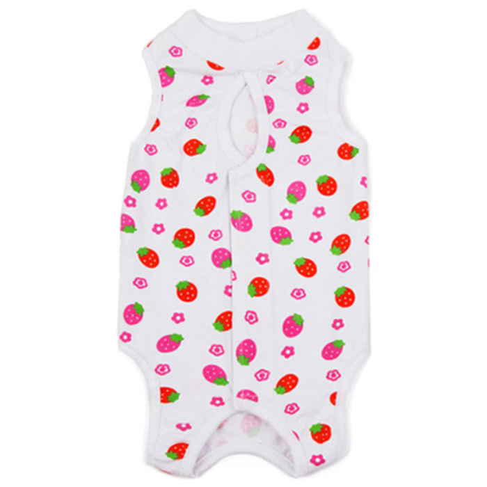 딩동펫 코튼 중성화 환묘복 6,700원