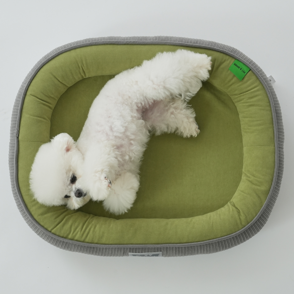 강아지 고양이 마약방석 사계절 푹신한 애견방석 거실용 미끄럼방지 대형견 중형견 소형견 펫방석, 그린, 1개, 현재가 19,900원