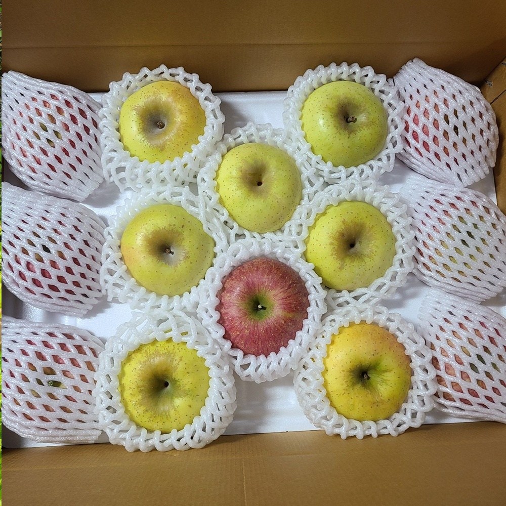 [고당도 실속구매] GAP인증 청송사과 산지직송 시나노골드 부사 반반 대과, 1개, 반반 대과 10kg(20~32과) 115,000원