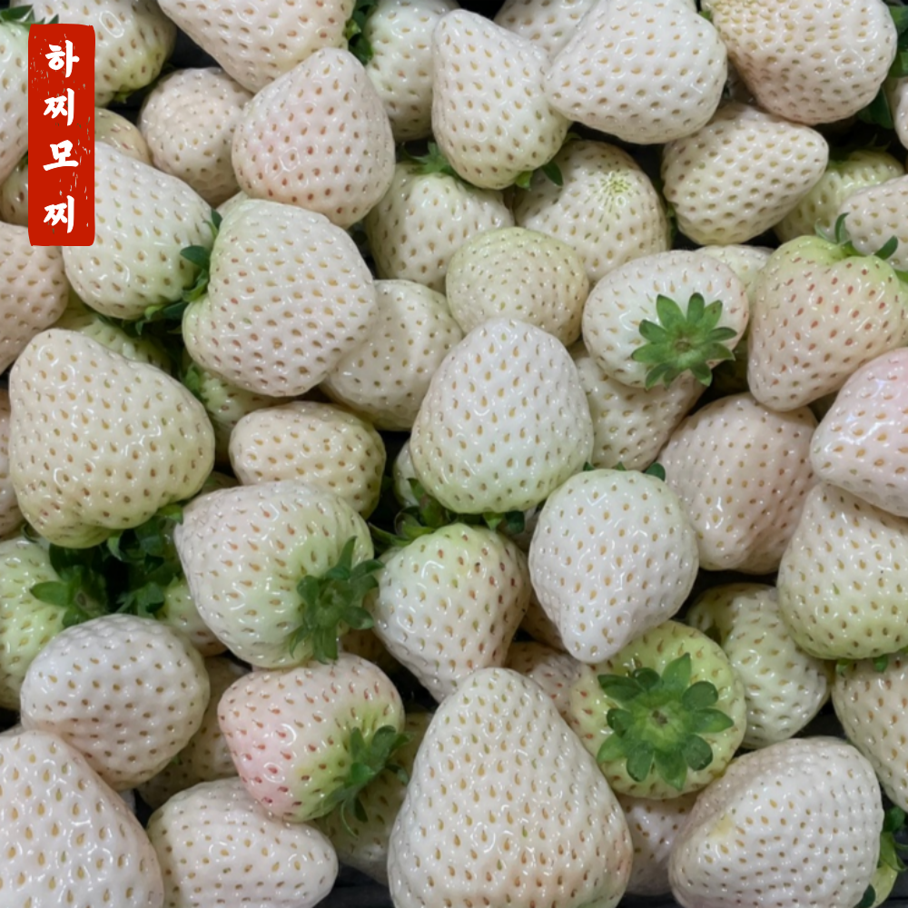 [고당도 고품질] 13brix이상 흰딸기 설향딸기 홍희딸기 제철과일 22,900원