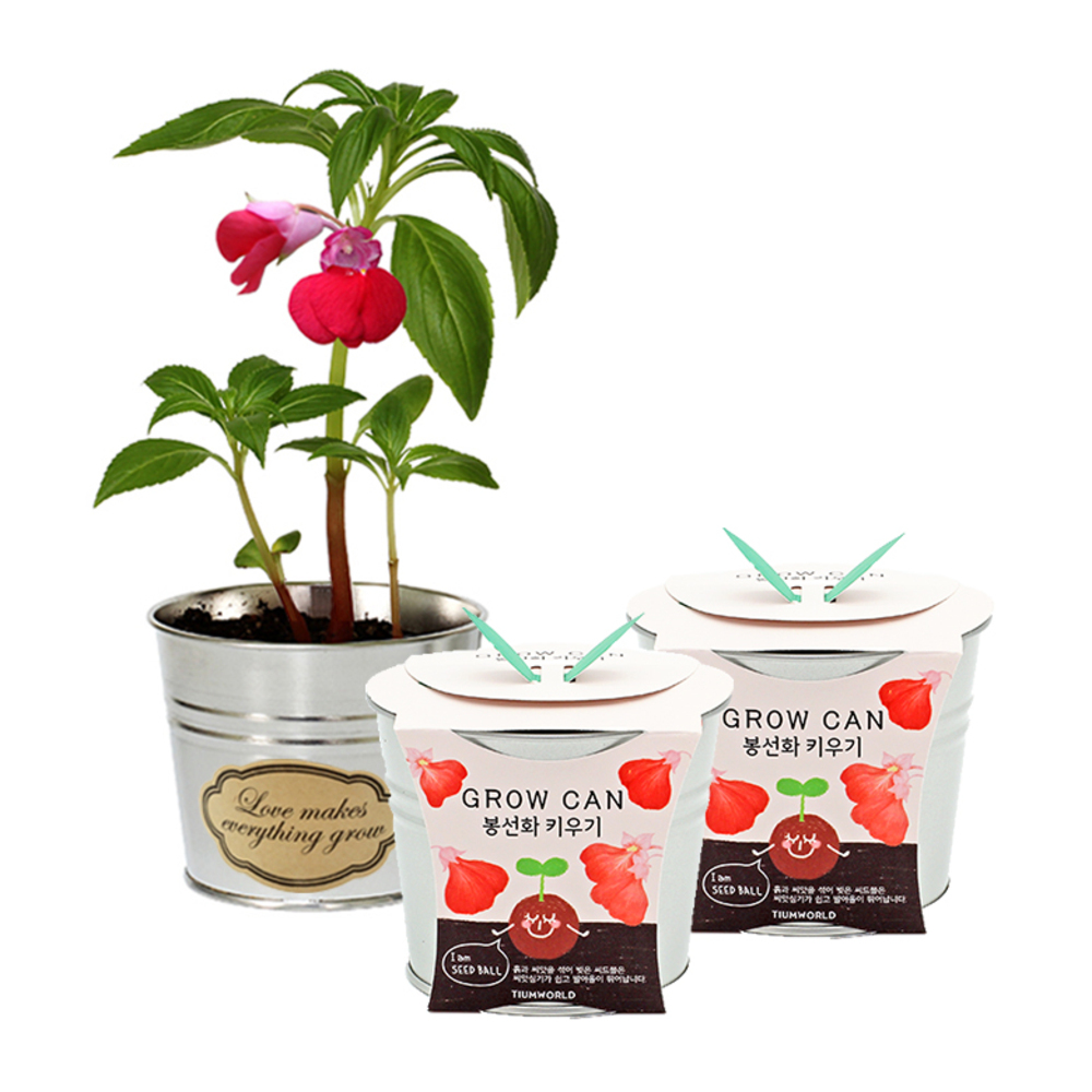 틔움세상 new 그로우캔 봉선화 키우기 10,540원