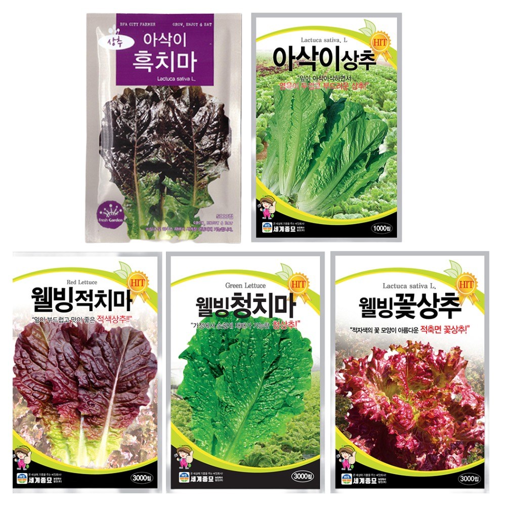 상추씨앗 모음 사계절 상추 5종 세트 아삭이흑치마 청치마 적치마 꽃상추 아삭이상추 씨앗 각1봉씩, 1개 11,900원
