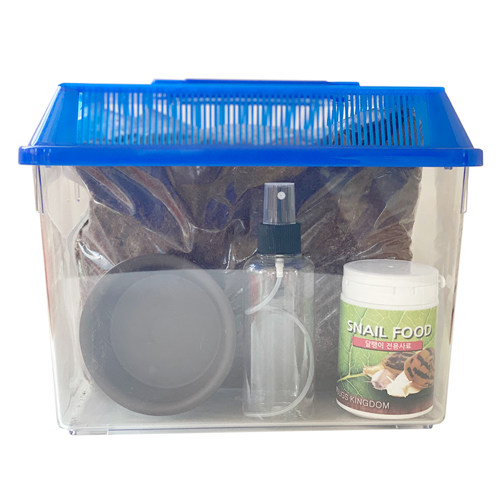 벅스프린스 달팽이키우기 세트 대형, 블루, 1세트 23,200원