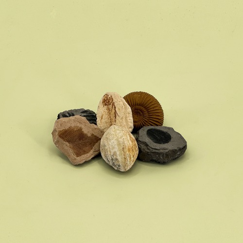 교과서 초등화석 6종(A타입) 104,000원