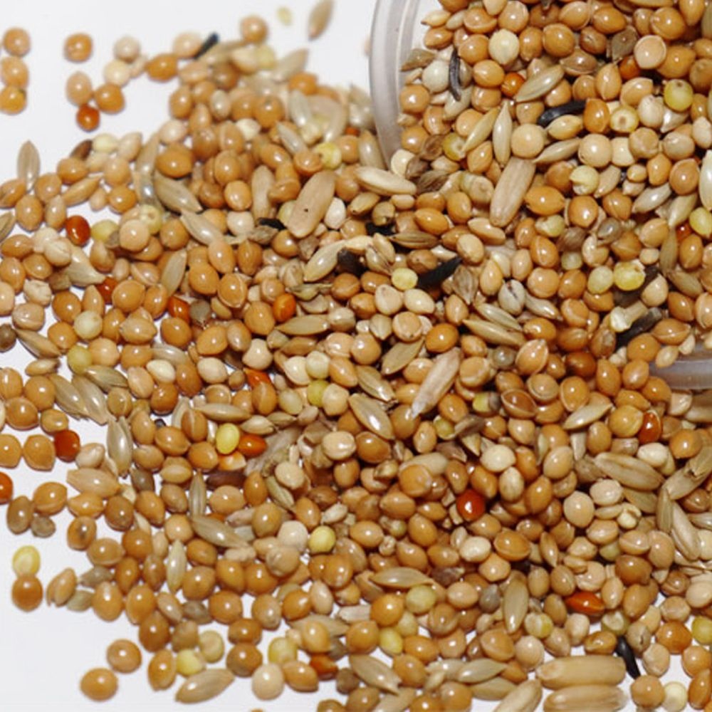 델리네이쳐 소형 1kg 사랑앵무 잉꼬사료 19,400원