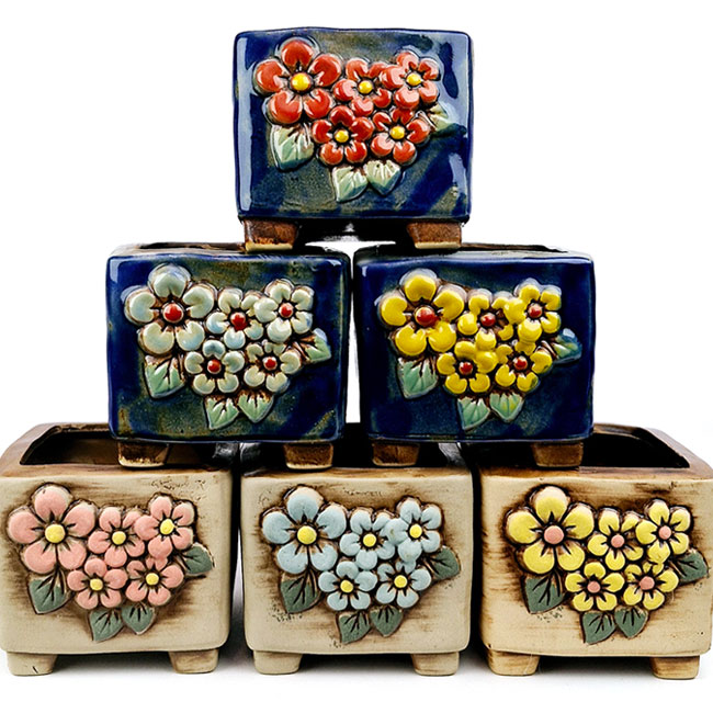 무배 행복한꽃그릇 또또5번 6종세트 소형 다육이화분 분갈이흙, 또또5번, 1개 26,400원