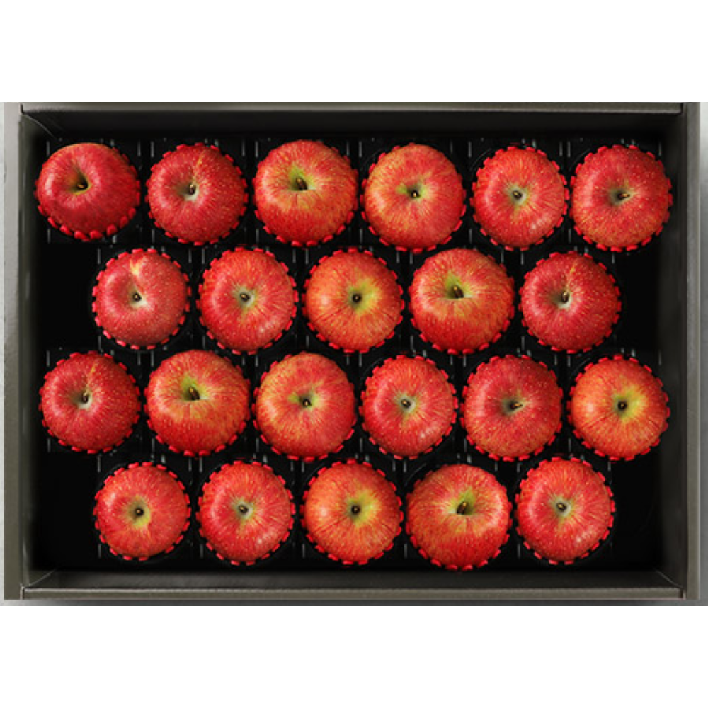 명절 선물용 경북사과 선물세트 5Kg 22과 55,900원