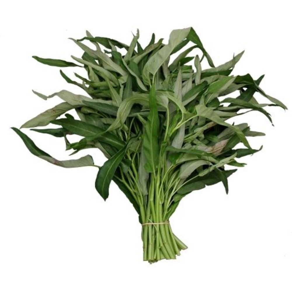 공심채 볶음용 채소 모닝글로리, 1kg, 1개 13,700원