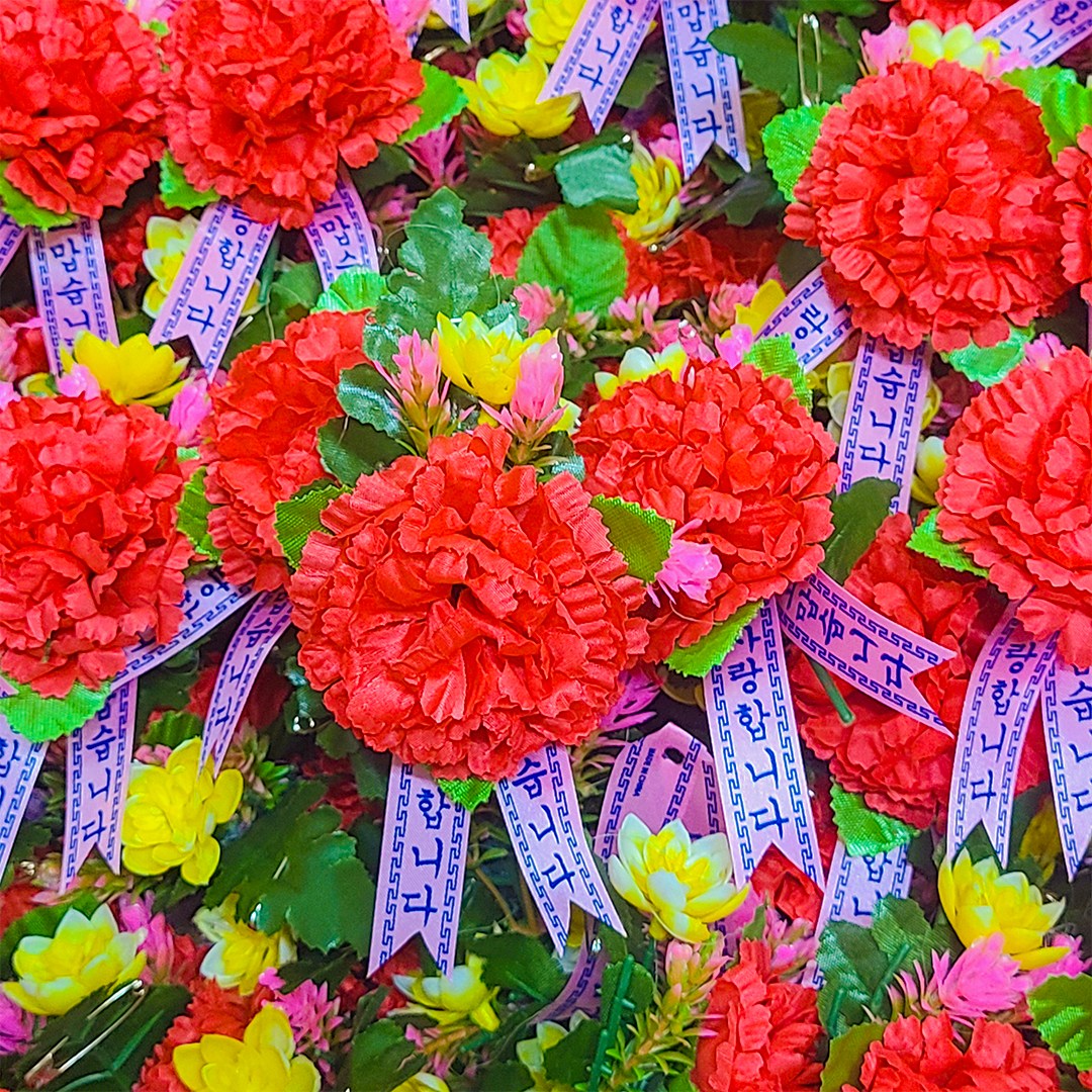 카네이션 코사지 1박스 50개 5/6//7일 연휴공휴일 퀵가능~조화 옷핀 어버이날 선물 스승의날 행사 서울경기/지방 퀵(착불)~ 27,160원