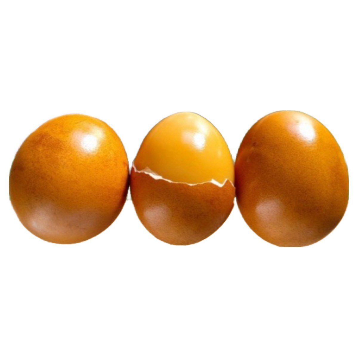 난각번호1번 방사 유정 구운란 맥반석계란 더 고소하고 쫀쫀한 군달걀 16,900원